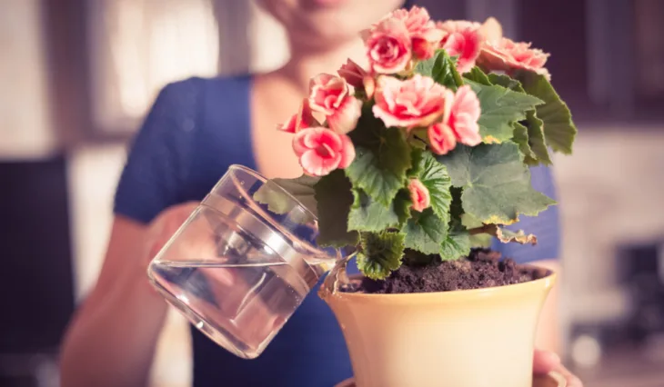Flower gardening for beginners FB 1200x700 compressed