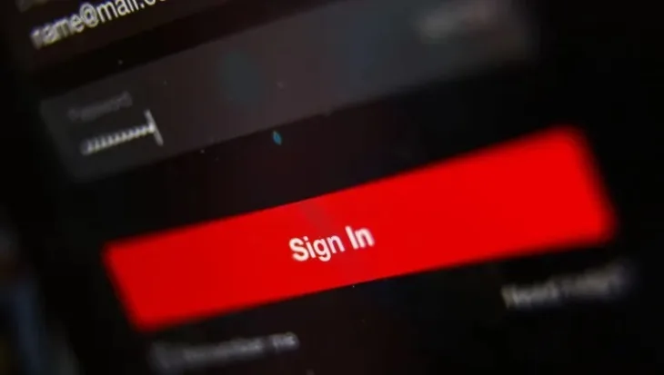 Netflix pass