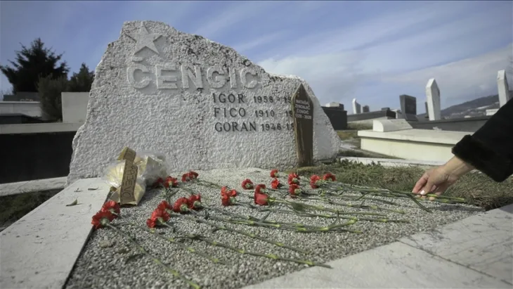 Goran cengic anadolija