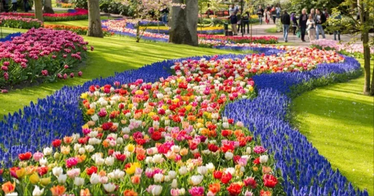 Botanicki vrt
