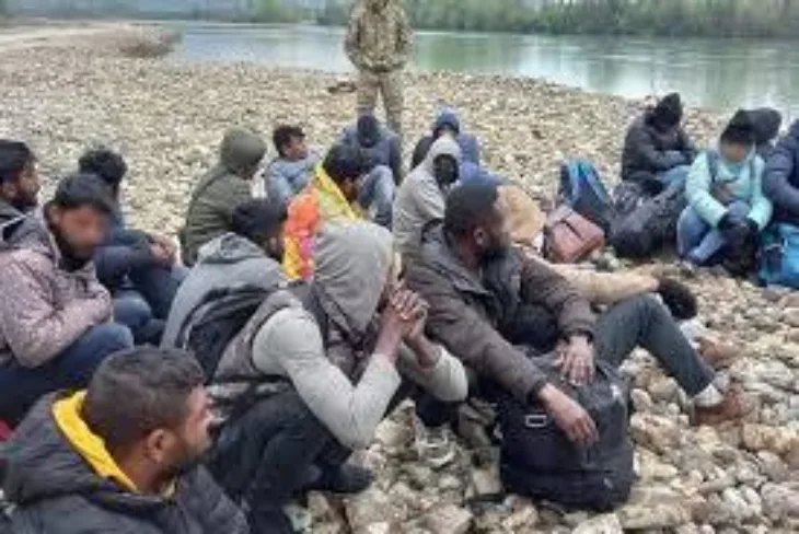 migranti