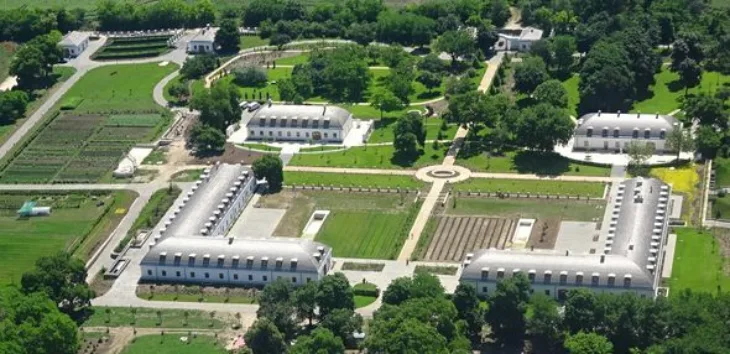 Vila orban 1