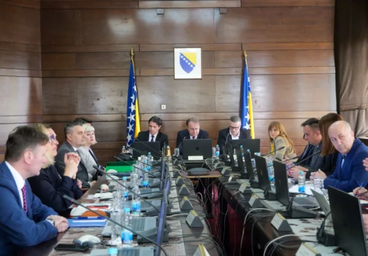 Vlada fedracije fena