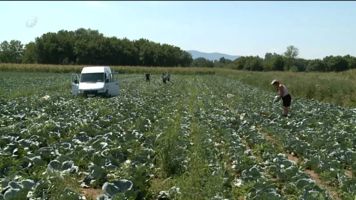 Poljoprivreda Screenshot FTV