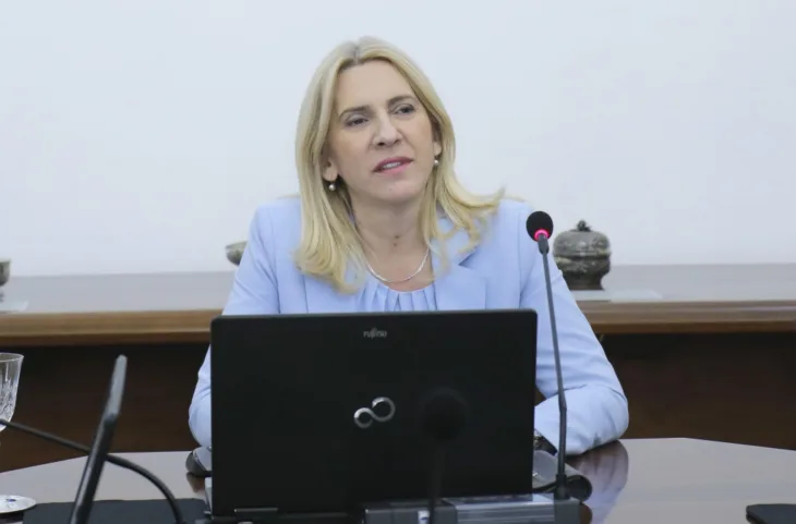 Zeljka Cvijanovic