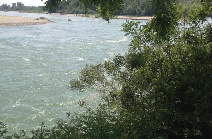Drina Janja
