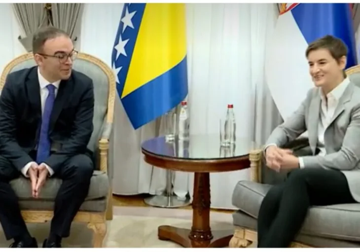 Ambasador bih i brnabic 872x610