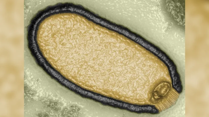 Zombi virus