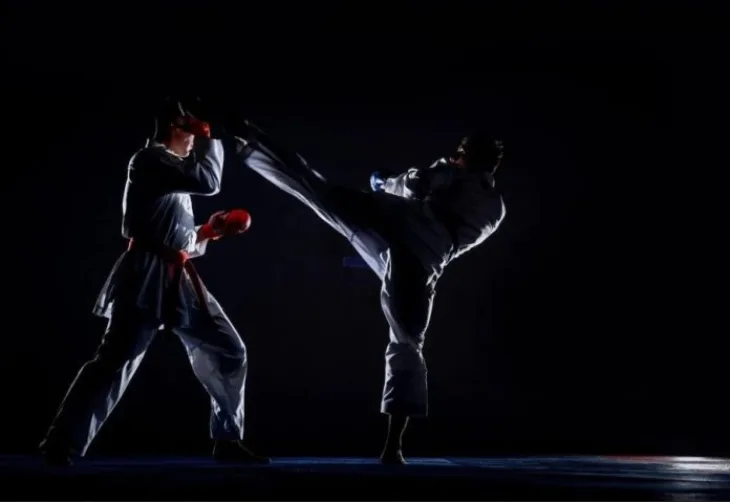Sambo vjestina 696x479