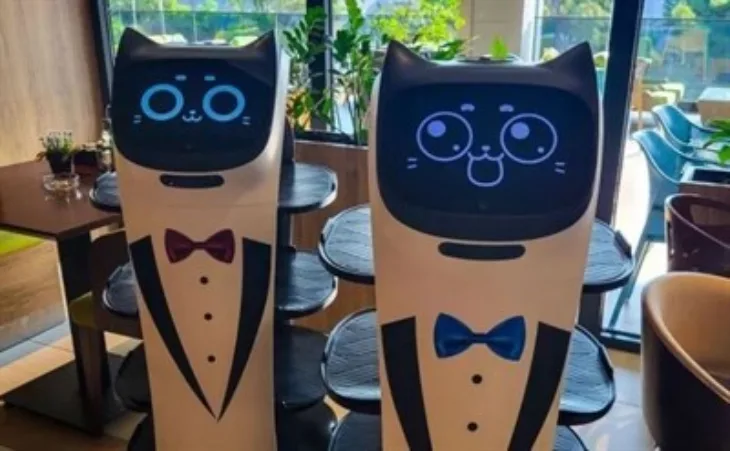 Robot konobar Fructa Trade