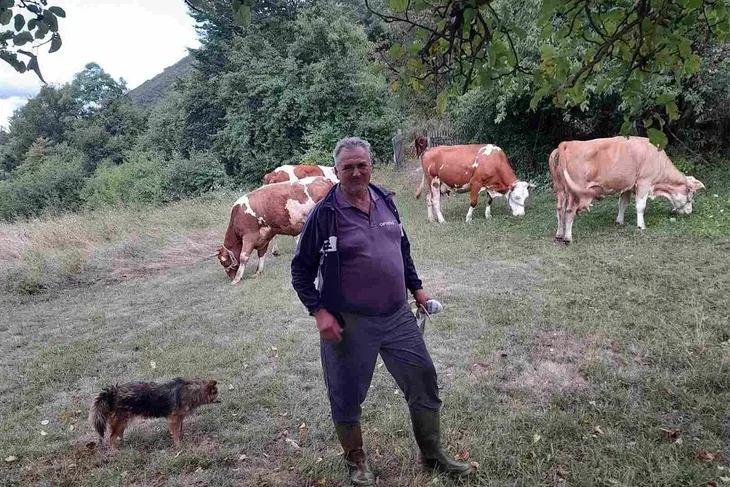 Krave