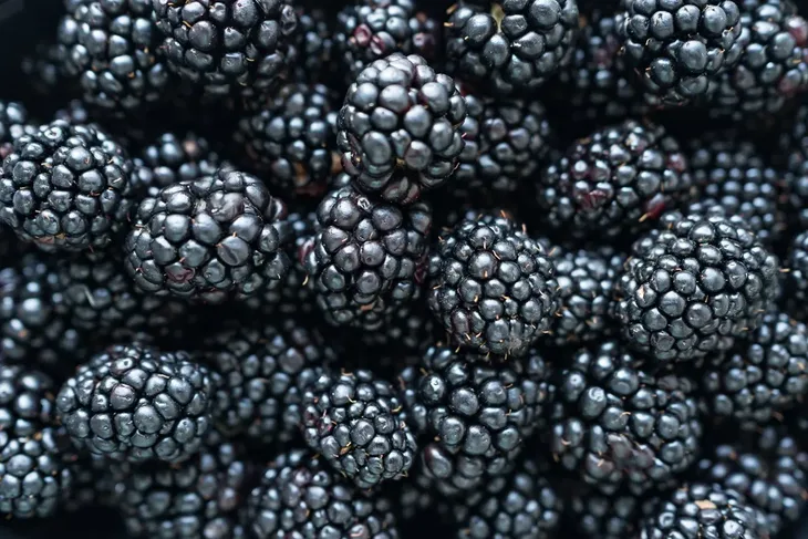 Kupine maline