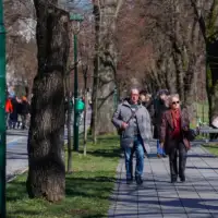 Vilsonovo9