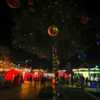 Beograd Nova godina AA