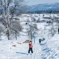 Ajdinovići