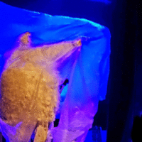 3dd89889 b80b 429a b421 f0ed24f930cd