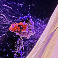 5c6a2d7e 5c39 42ac 963d 33567868debe