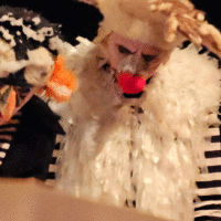 25e59a3b 9e2c 473a b29f 118dfd666025