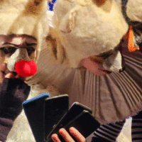 57e2f8f9 fd5b 409e 9bc2 0e608d52f6e6