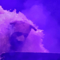 B0b1c818 dd93 49df 8eb5 94e31603bf61