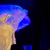 E1224b21 41bf 4b76 bb2c 2d0d9609386b