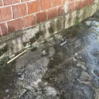 IMG 6cd0df94ec002164fa5050719e259464 V