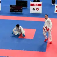 Evropsko prvenstvo u karate za mlade FB n