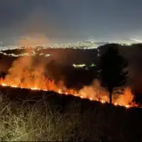 Žuč požar