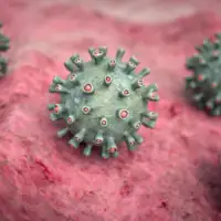 Marburg virus
