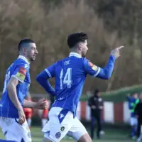 Semir stilic