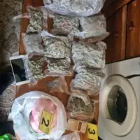 droga akcija "Meta 2"