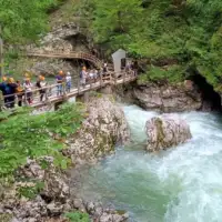 IMG bd7522b7d87d61123051b0fe1c3b2052 V