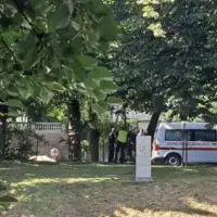 Vilsonovo setaliste ubistvo