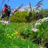 Osječenica, planina bosanski petrovac