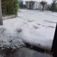 240613155 8 mn
