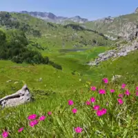 Treskavica planina sanski planinari foto etto