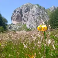 planina priroda  Treskavica sanski planinari foto etto