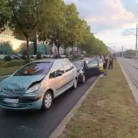 Nedzarici saobracajna nesreca