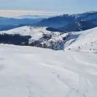 Planina