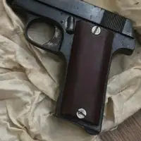 Oružje bugarska policija