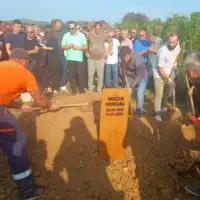 IMG df0126539ba1f6c189924d9ff90f0cf6 V