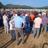 IMG 0eead26e33428f9ec643659fc689d0ab V