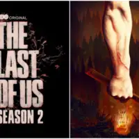 The last of us