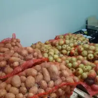 IMG 7e7551cedf24901dc817023bd430b768 V