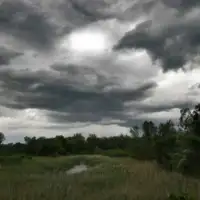 Oblacno oblaci