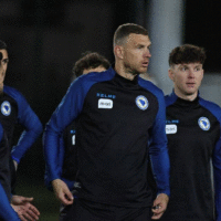 Edin dzeko 11