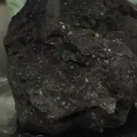 Asteroid rna