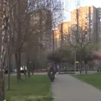 Beograd tuca