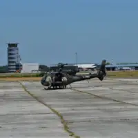 IMG 7184