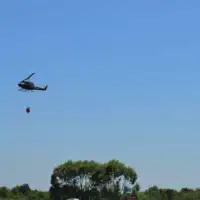 IMG 7185